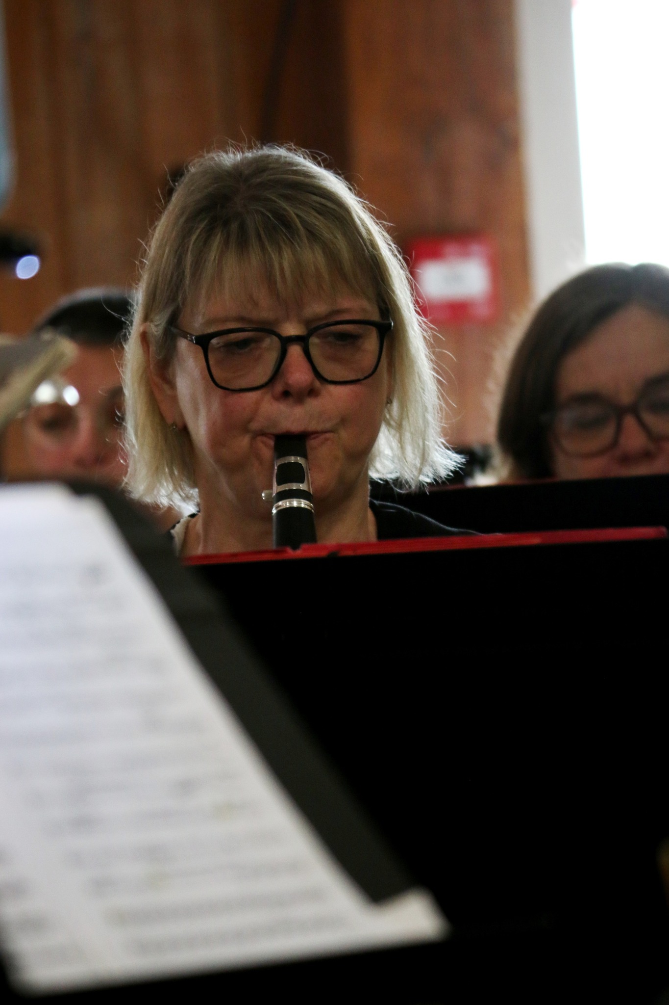 La Lyre Briarde